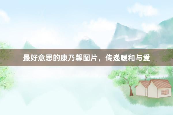 最好意思的康乃馨图片，传递暖和与爱