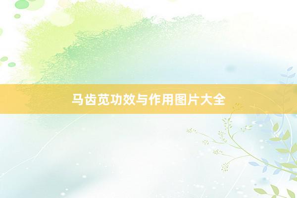 马齿苋功效与作用图片大全
