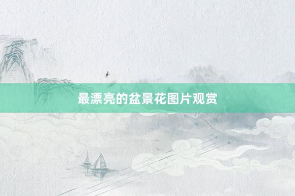 最漂亮的盆景花图片观赏