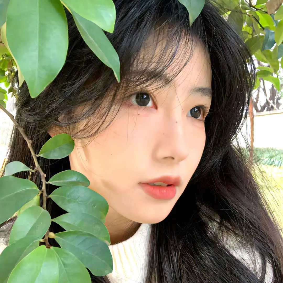 纽约屁民第一季